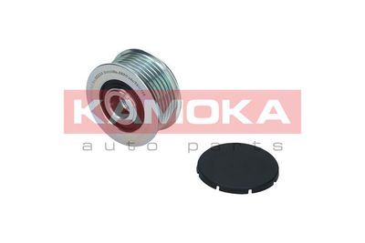 KAMOKA RC034