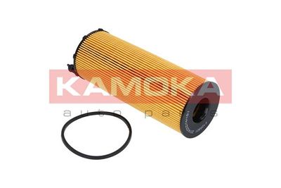 KAMOKA F109901