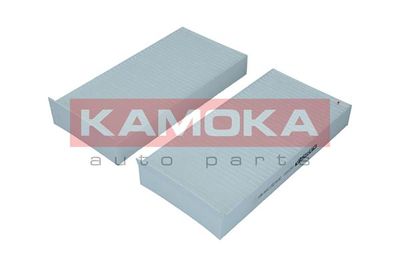KAMOKA F421501