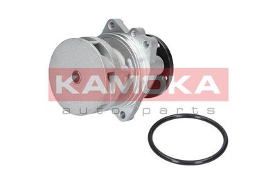 KAMOKA T0059