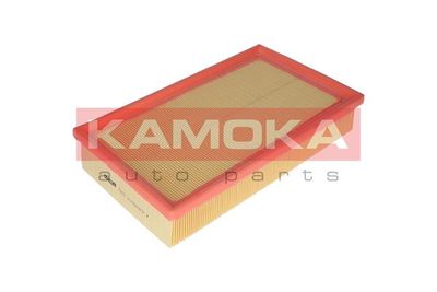 KAMOKA F227301