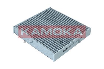 KAMOKA F512501