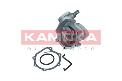 KAMOKA T0260