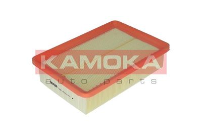 KAMOKA F205801