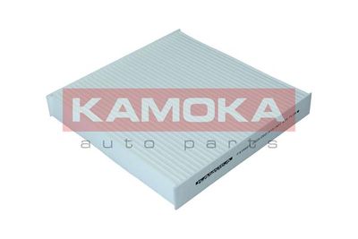 KAMOKA F419901