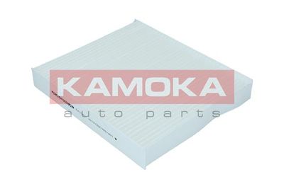 KAMOKA F417301