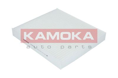 KAMOKA F407901