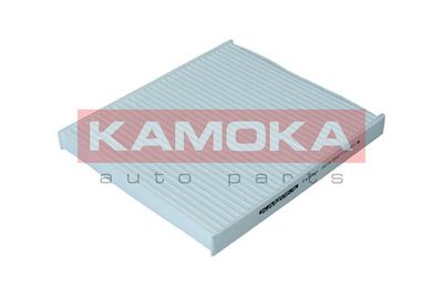 KAMOKA F416301