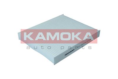 KAMOKA F422101