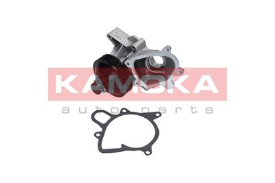 KAMOKA T0064