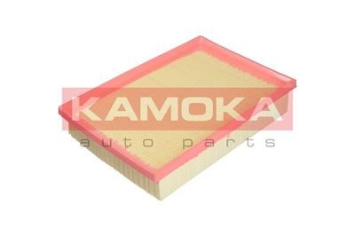 KAMOKA F219101
