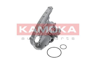 KAMOKA T0119