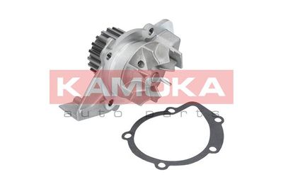 KAMOKA T0086