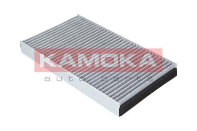 KAMOKA F501901