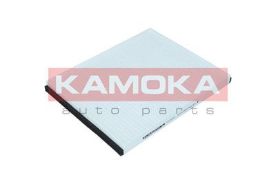 KAMOKA F418101