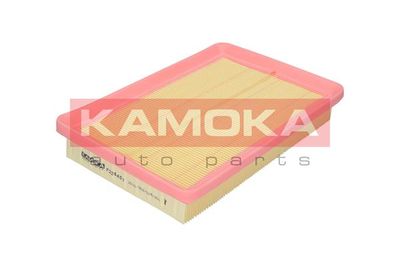 KAMOKA F226401