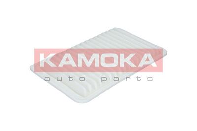 KAMOKA F211801