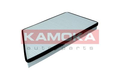 KAMOKA F402101
