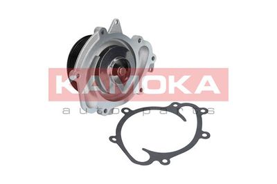 KAMOKA T0073