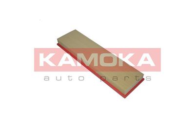 KAMOKA F211001