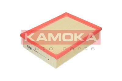 KAMOKA F205601