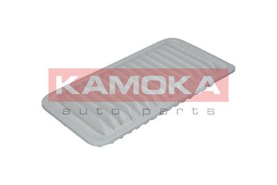 KAMOKA F203801