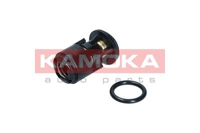 KAMOKA 7710094