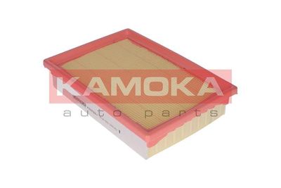 KAMOKA F237301
