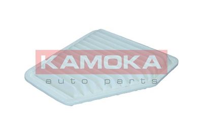 KAMOKA F242101