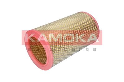 KAMOKA F236601