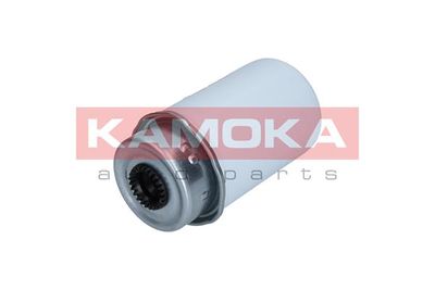 KAMOKA F312601