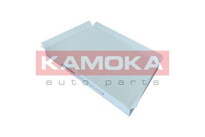KAMOKA F417501