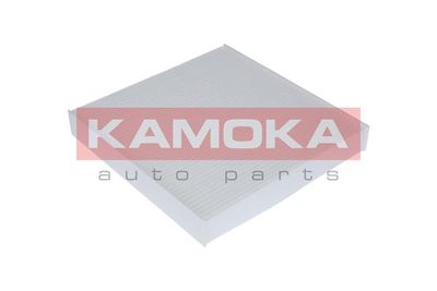 KAMOKA F403001