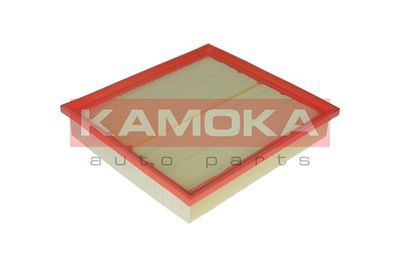 KAMOKA F217801
