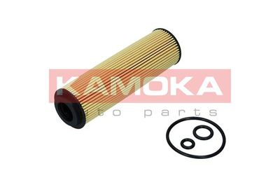 KAMOKA F119501