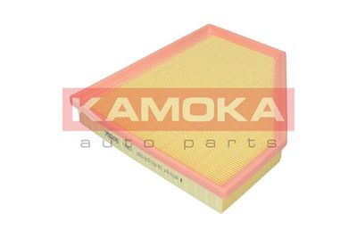 KAMOKA F252601