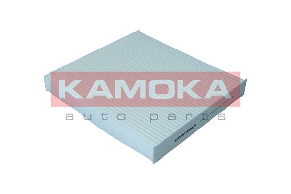 KAMOKA F424301