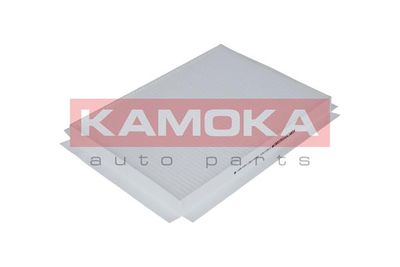 KAMOKA F401701