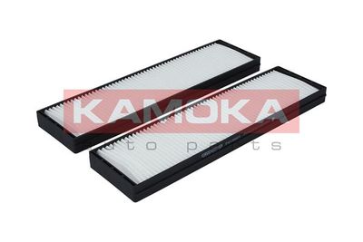 KAMOKA F413601