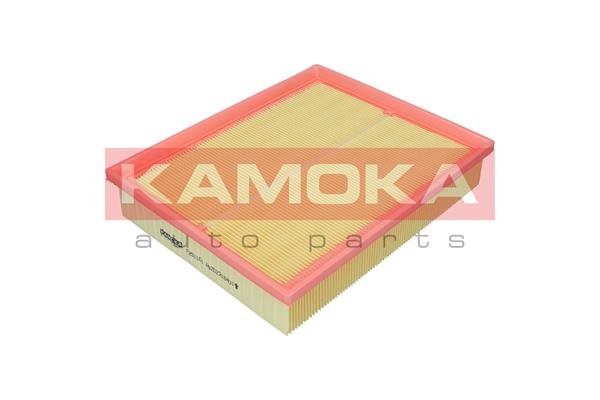 KAMOKA F251101