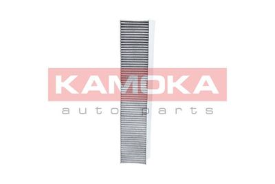 KAMOKA F503601