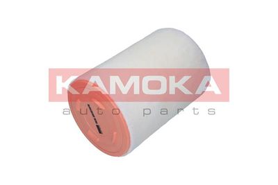 KAMOKA F241301