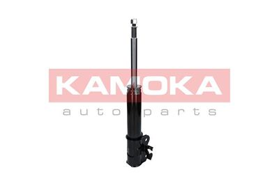 KAMOKA 2000311