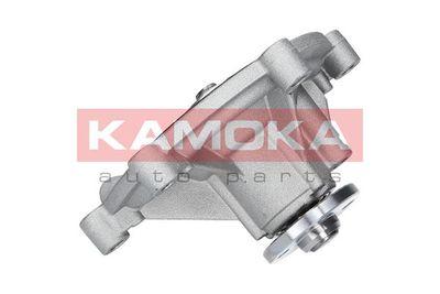KAMOKA T0194 KAMOKA T0194