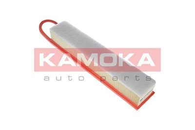 KAMOKA F221601