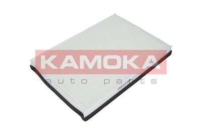 KAMOKA F407601