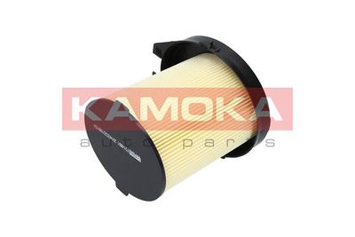 KAMOKA F214801