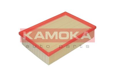 KAMOKA F206901