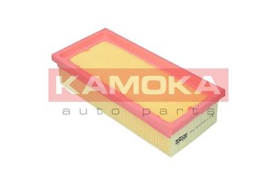 KAMOKA F251601