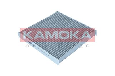 KAMOKA F513301